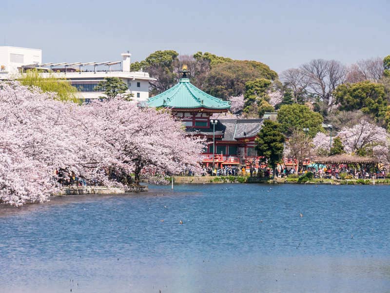 上野人気