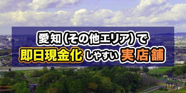 愛知（その他エリア）で即日現金化しやすい実店舗